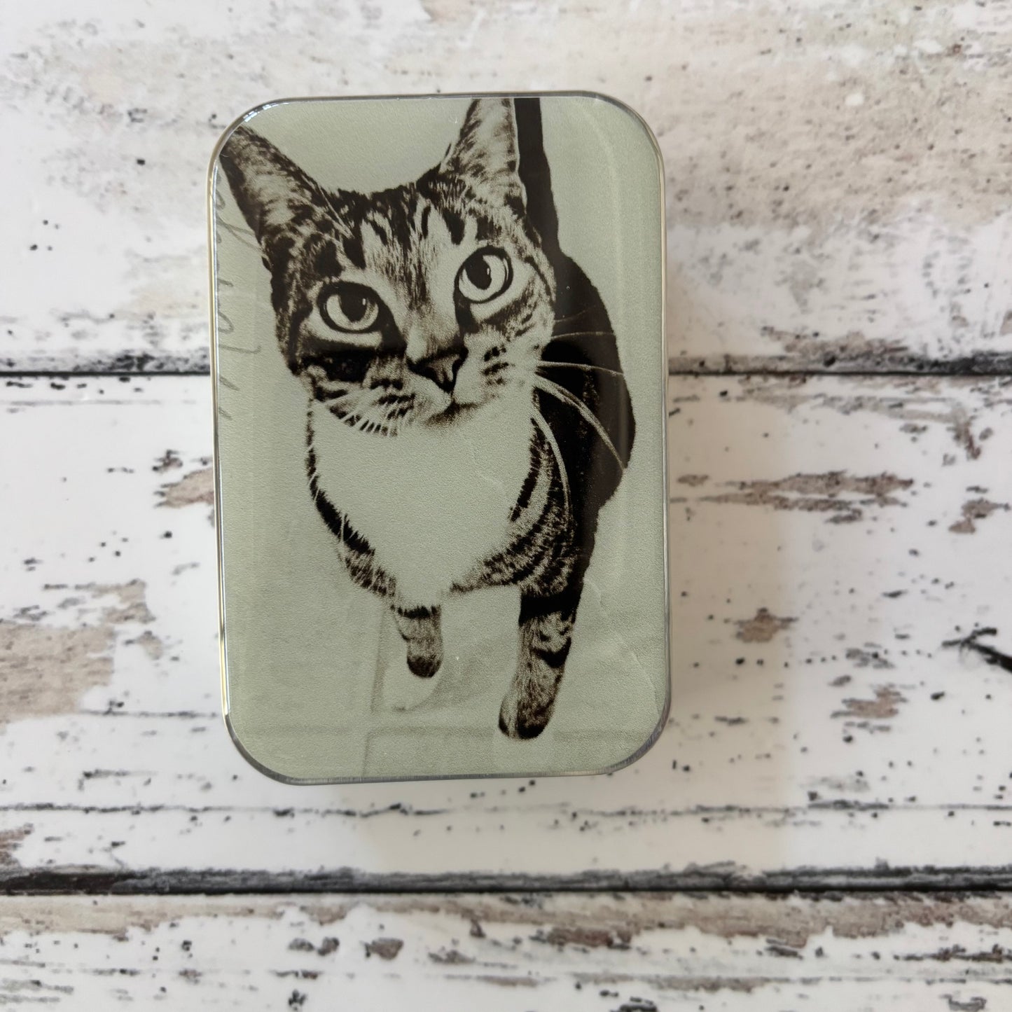 Firefly Notes Tins