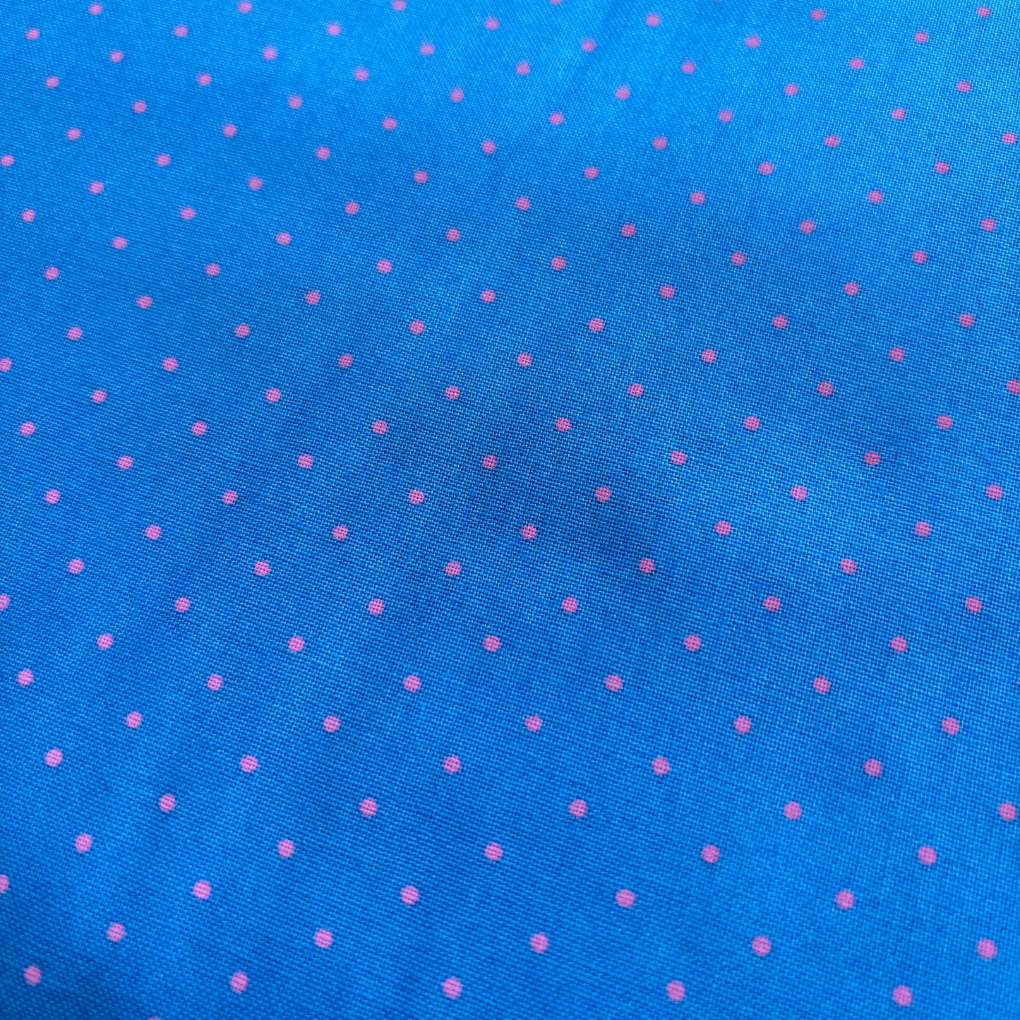 Tula Pink - Tiny Dots in Sky Blue from Tiny Beasts Collection