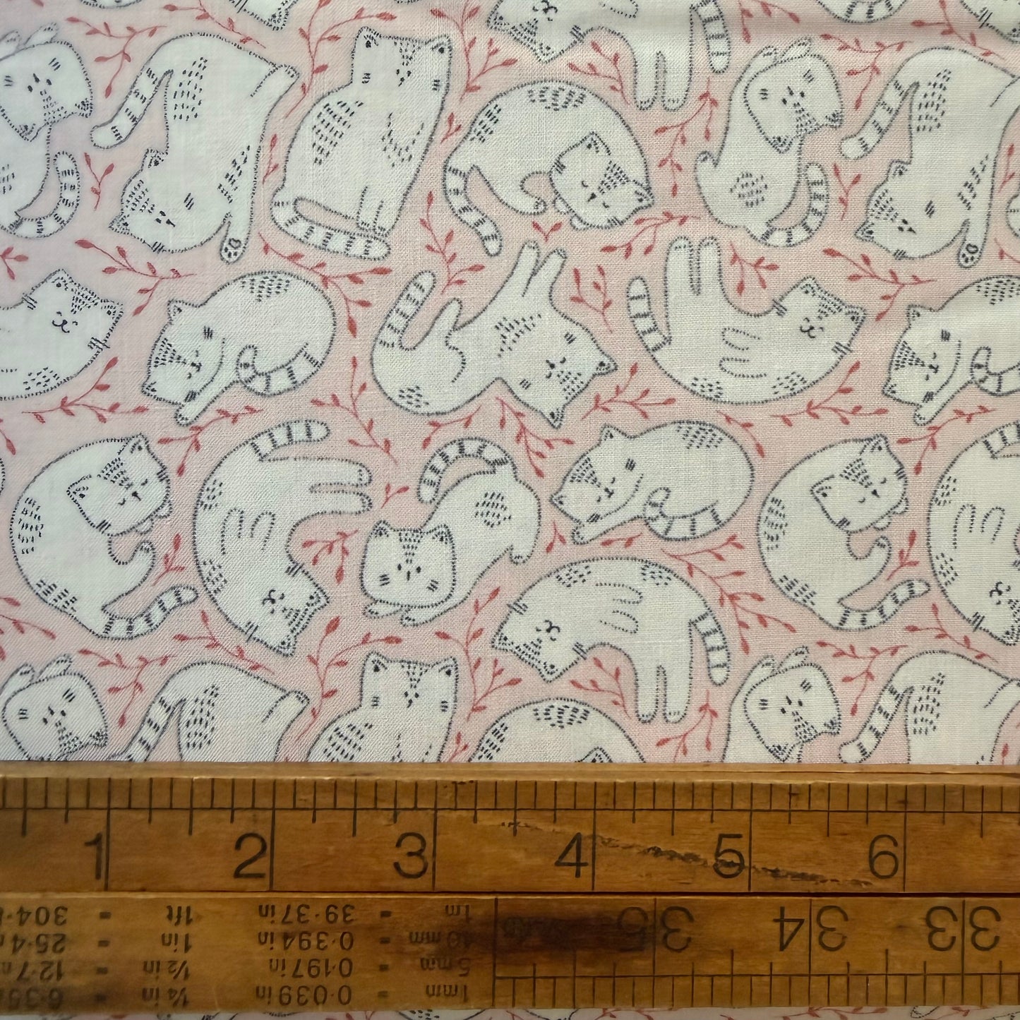 Kitten Fun - Tossed Kittens in Light Pink