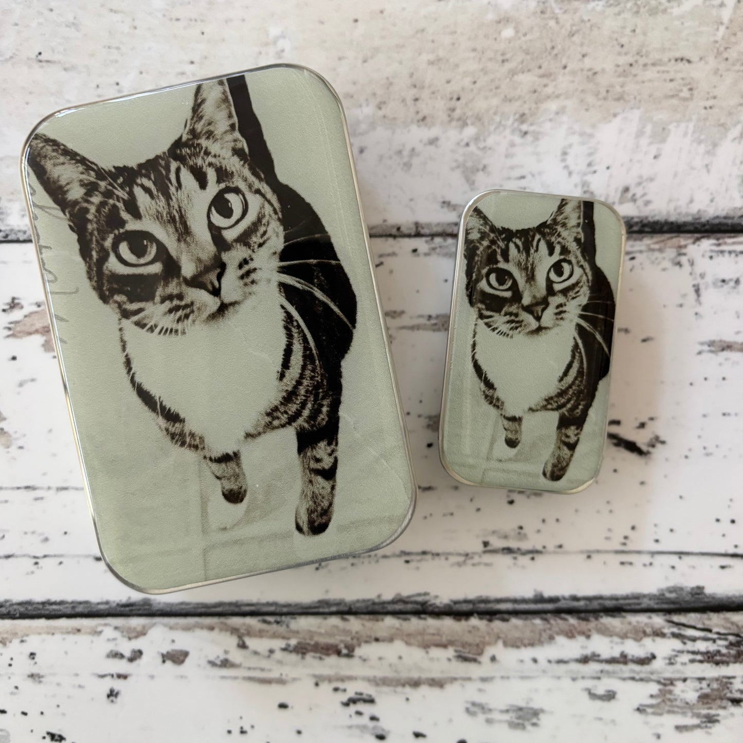 Firefly Notes Tins