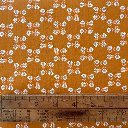 AGF - Geobloom - Happy Daisy