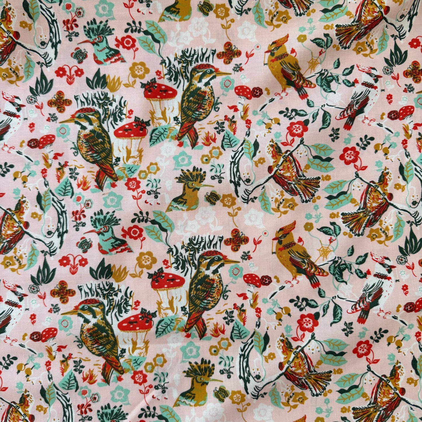 The Song of Birds - Pastoral Symphony