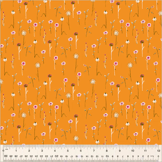 Studio Edit - Wildflowers in Orange