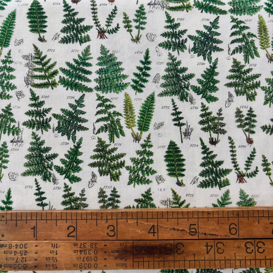 Green Palette - Ferns