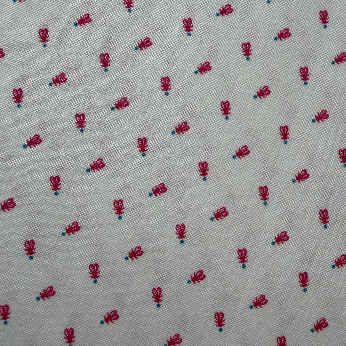 Miscellany Backgrounds - Pink Tiny Insect