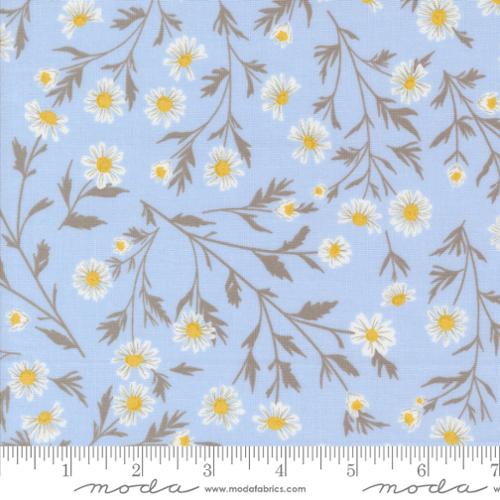 Wild Daisy Chain in Sky - Sun Drenched by Moda