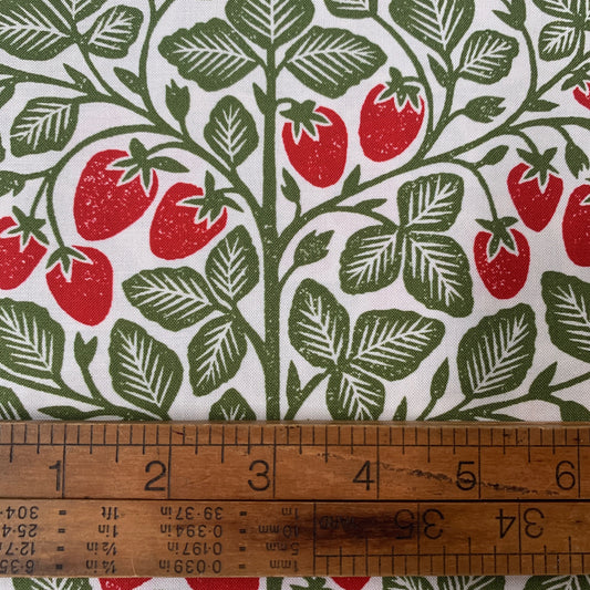Garden Series - Strawberries
