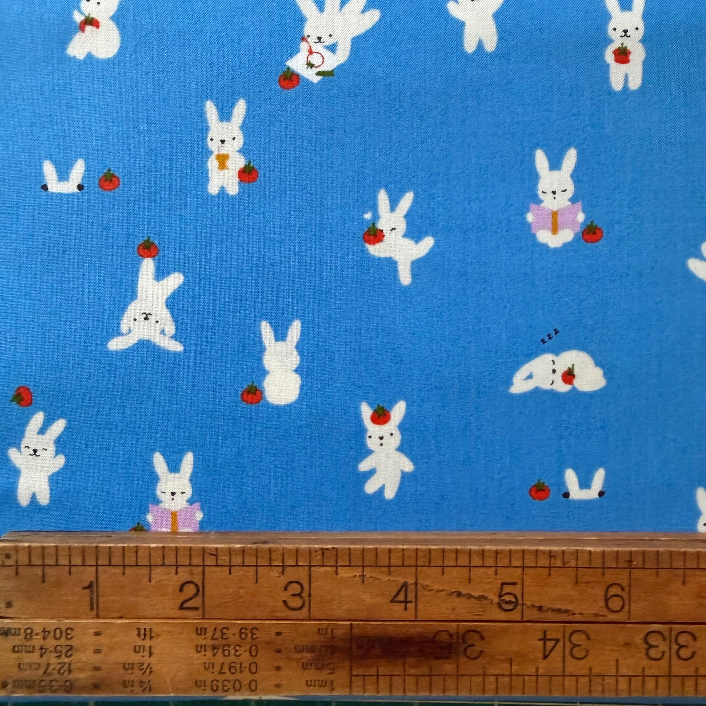 Ruby Star Society - Bun E and Sammy in Lindley Blue - Persimmon