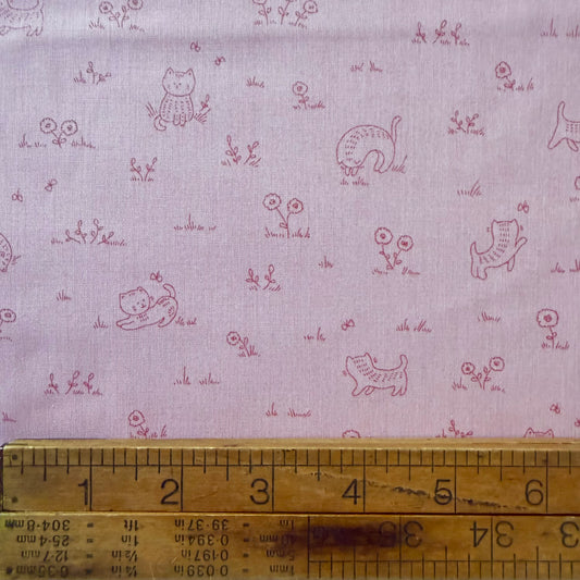 Kitten Fun - Playful Tonal in Pink