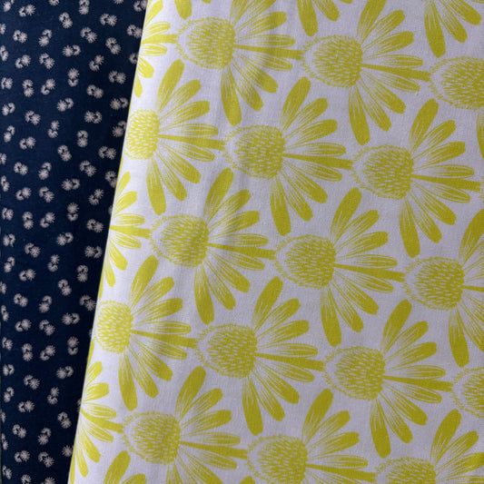 Indelible Coneflower in Sun - Soft