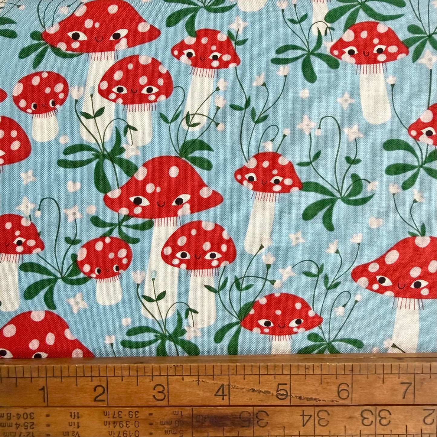 Funny Valentine - Mushrooms in Sky - Lizzy House for Moda