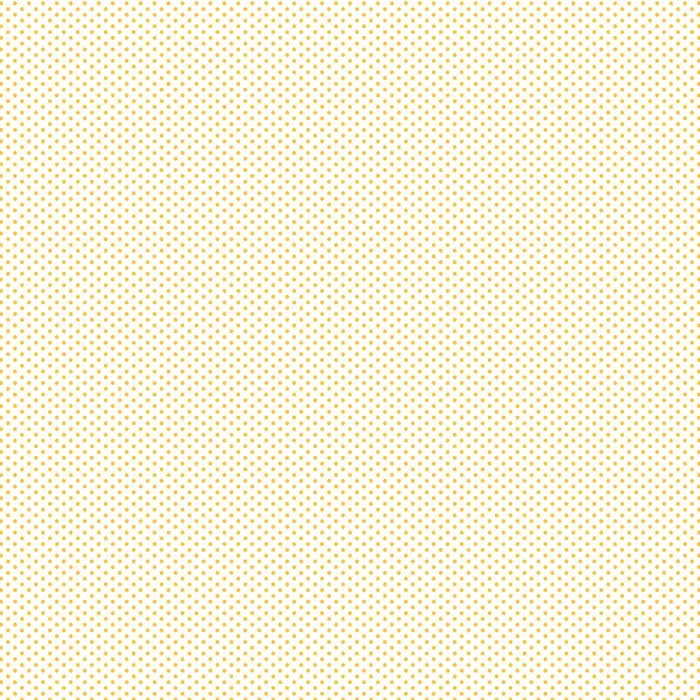 Fundamentals 1/16” Spot - Sunnyside