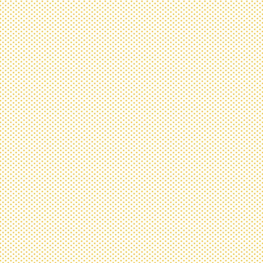 Fundamentals 1/16” Spot - Sunnyside