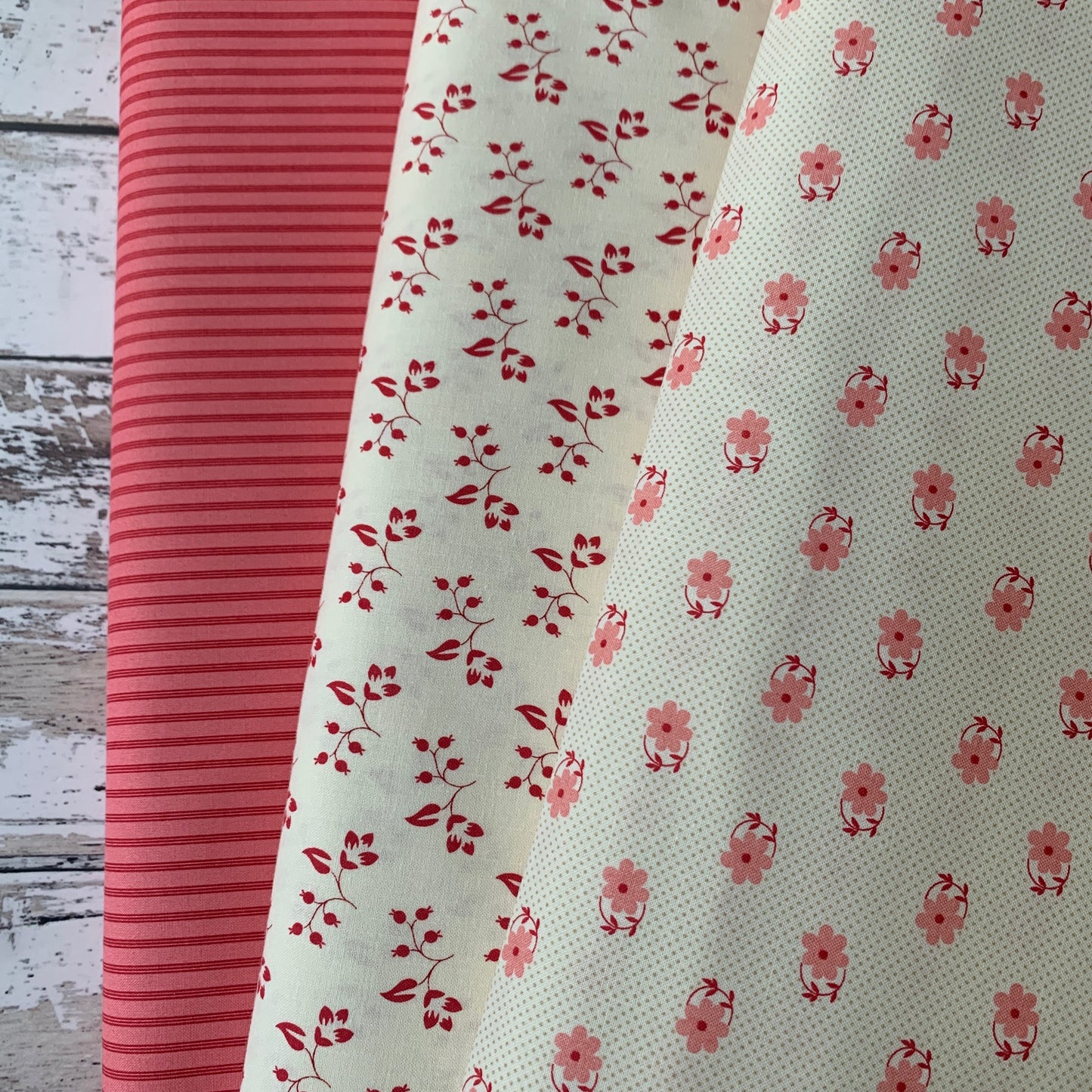 Petals and Polka Dots - Rose Hip Floral in Lace