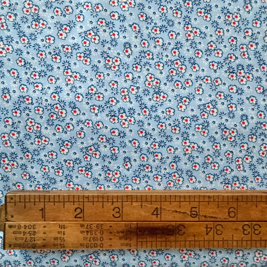 Darlene’s Favorites - Ditzy Floral in Blue - Robert Kaufman