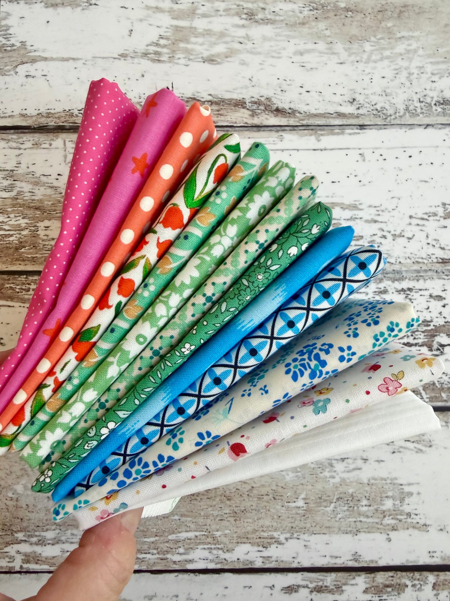 November Subscription Bundle