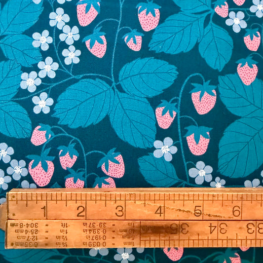 Reimagined Landscapes - Strawberry Field in Galaxy - Ruby Star Society