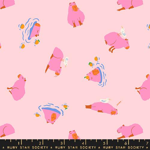 Animal Animal - Capybara in Cotton Candy - Ruby Star Society