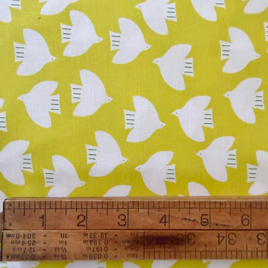 Catnap - Birds in Citron - Ruby Star Society