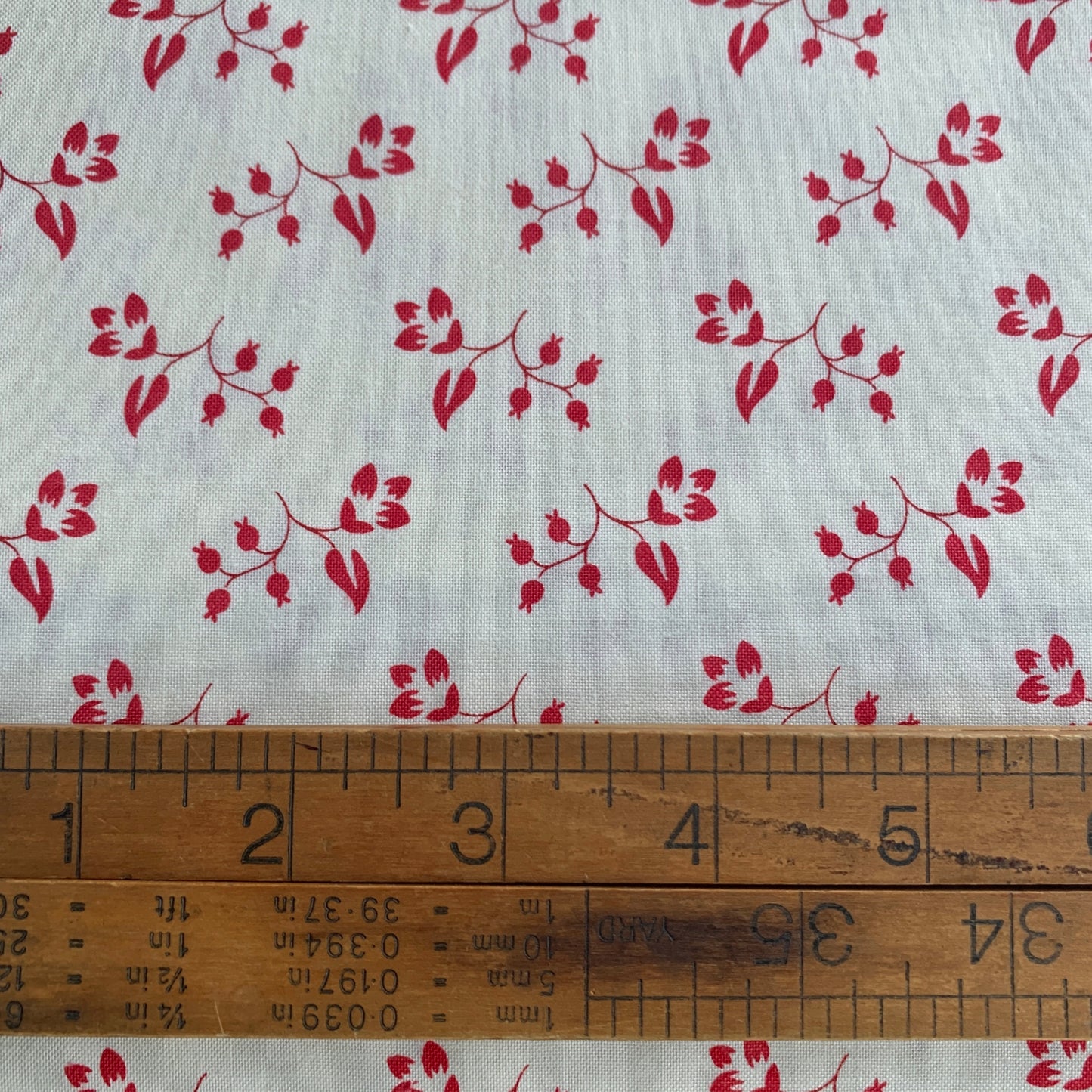 Petals and Polka Dots - Rose Hip Floral in Lace