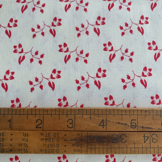 Petals and Polka Dots - Rose Hip Floral in Lace