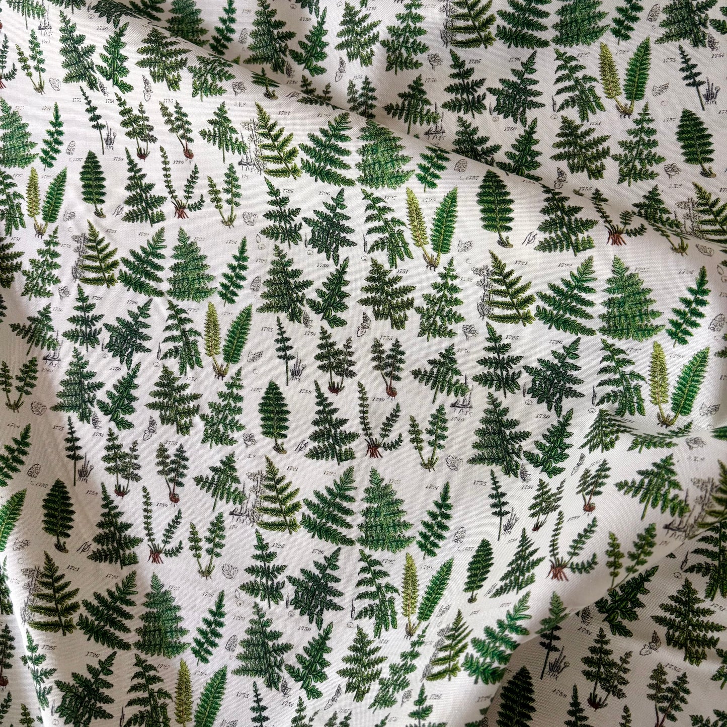 Green Palette - Ferns