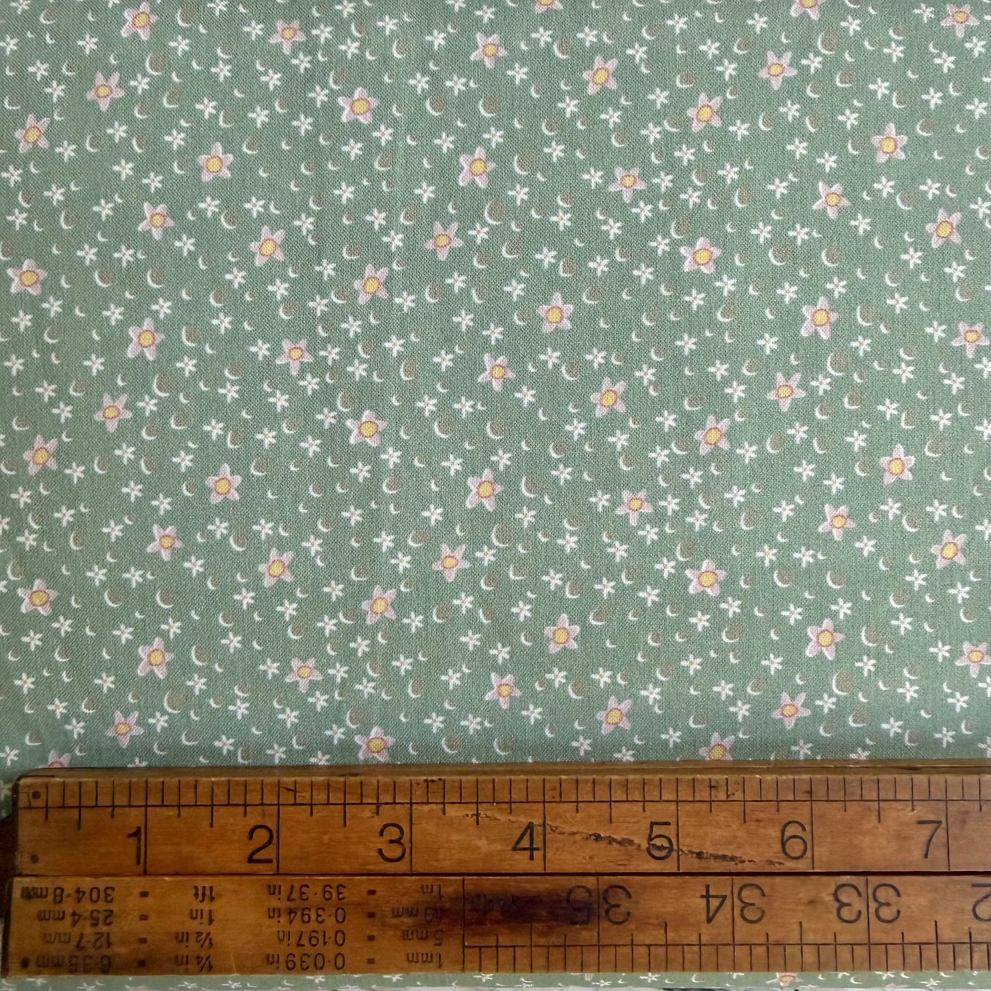 Slow and Steady - Daisy Spot in Green