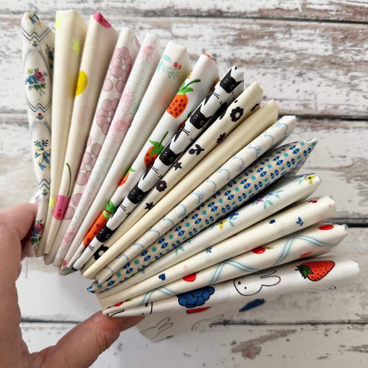 Quirky Low Volume Bundle