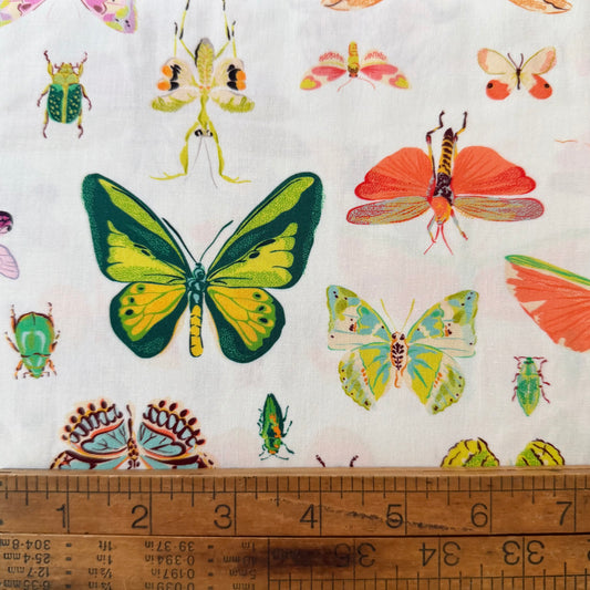 On Display in Light - Insectarium by Tamara Kate for Windham Fabrics