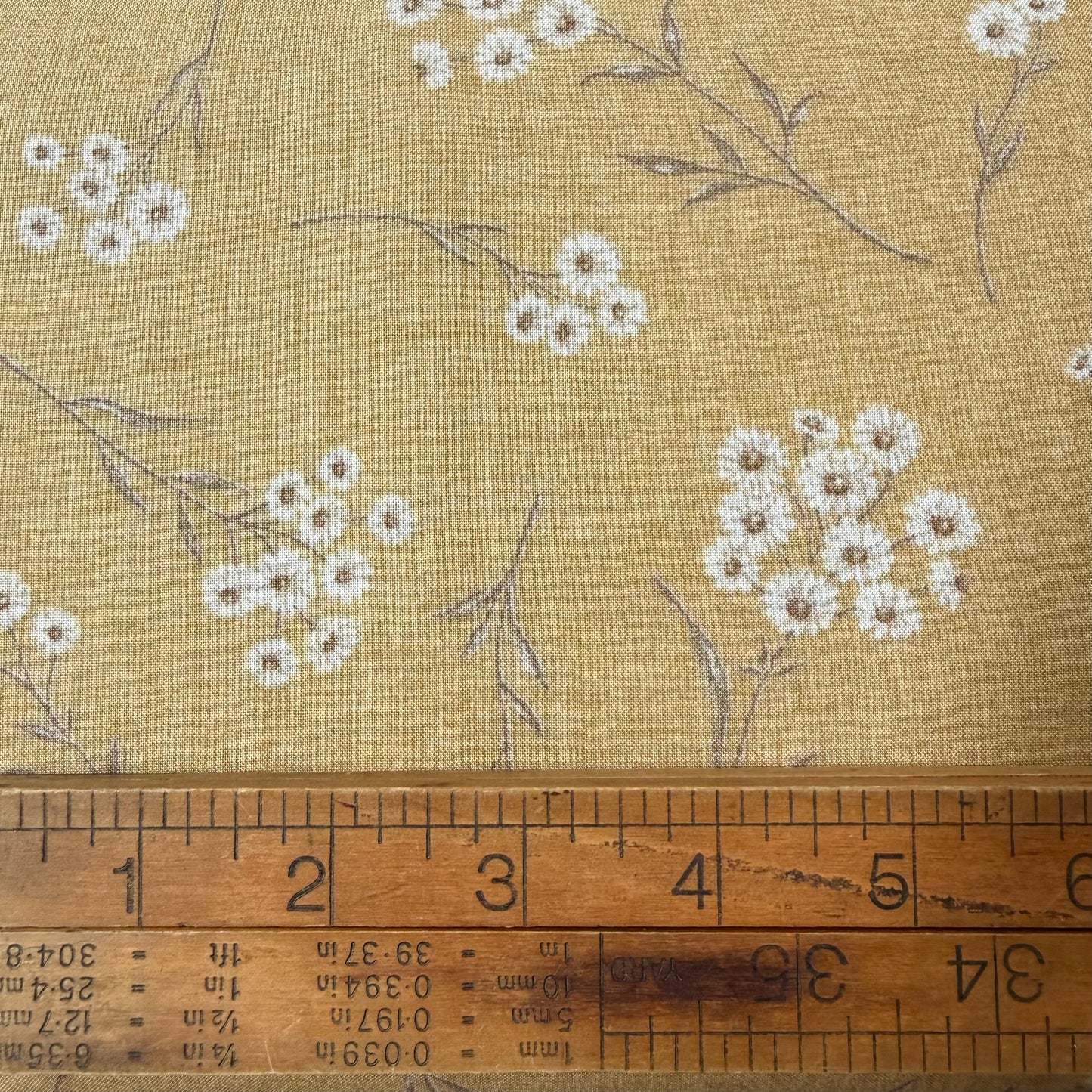 Centenary (32) by Yoko Saito - Floral on Sunflower