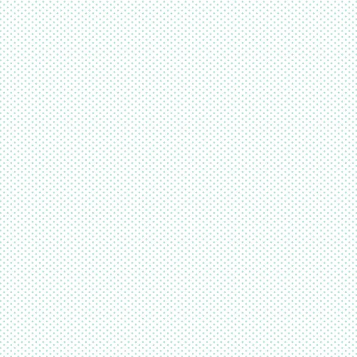 Fundamentals 1/16” Spot - Seafoam