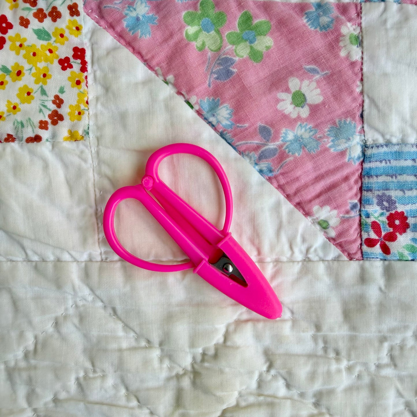 Small Travel Snips
