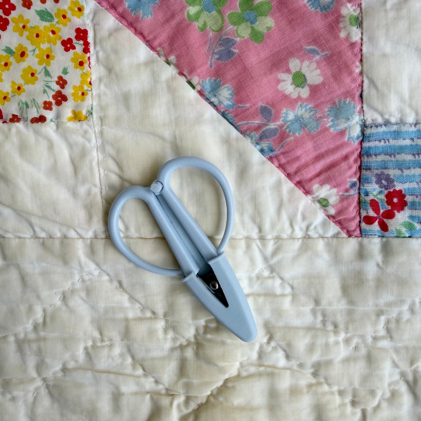 Small Travel Snips