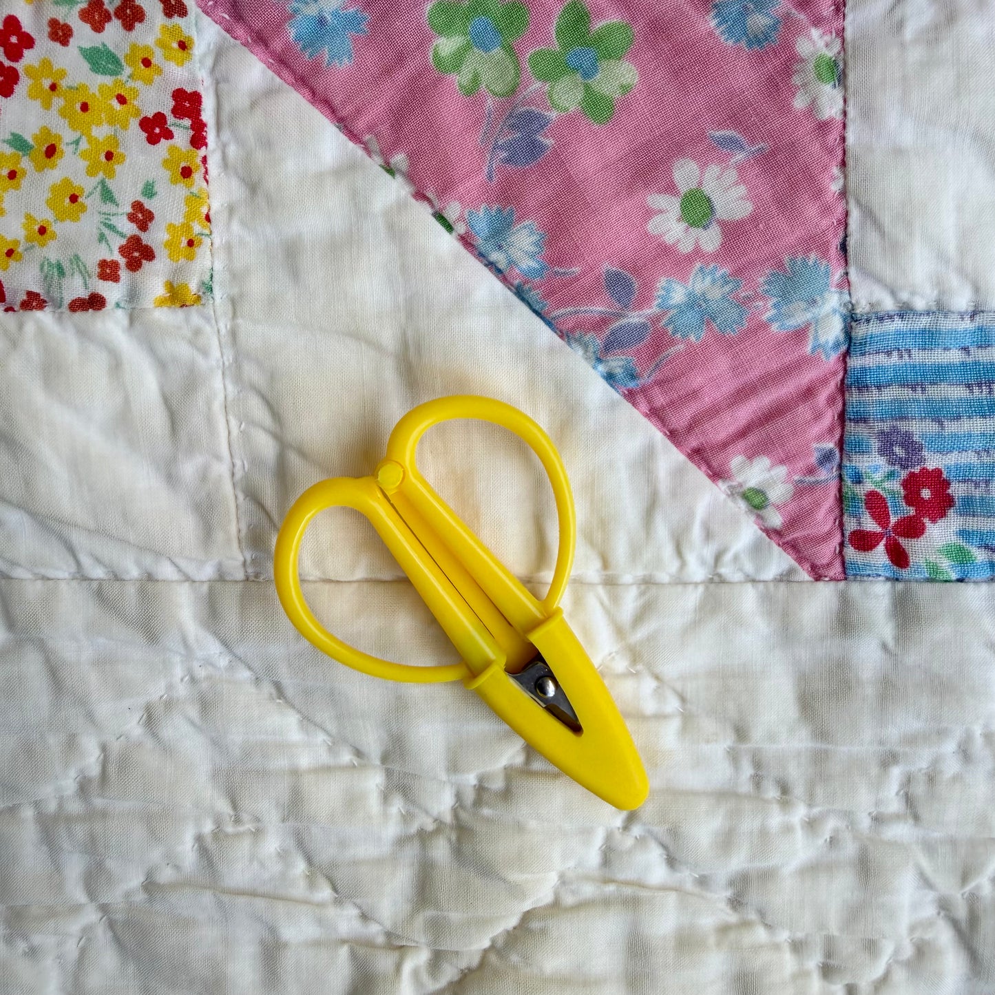 Small Travel Snips