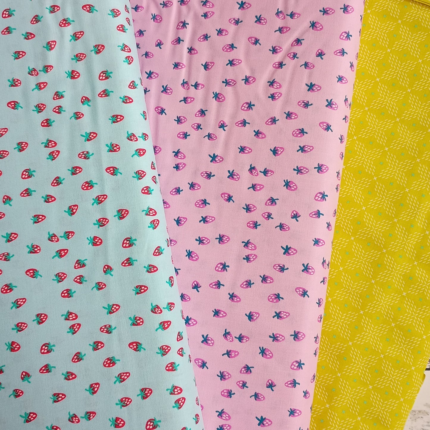 Color Pop Playground - Berry Sweet in Petal by Andover