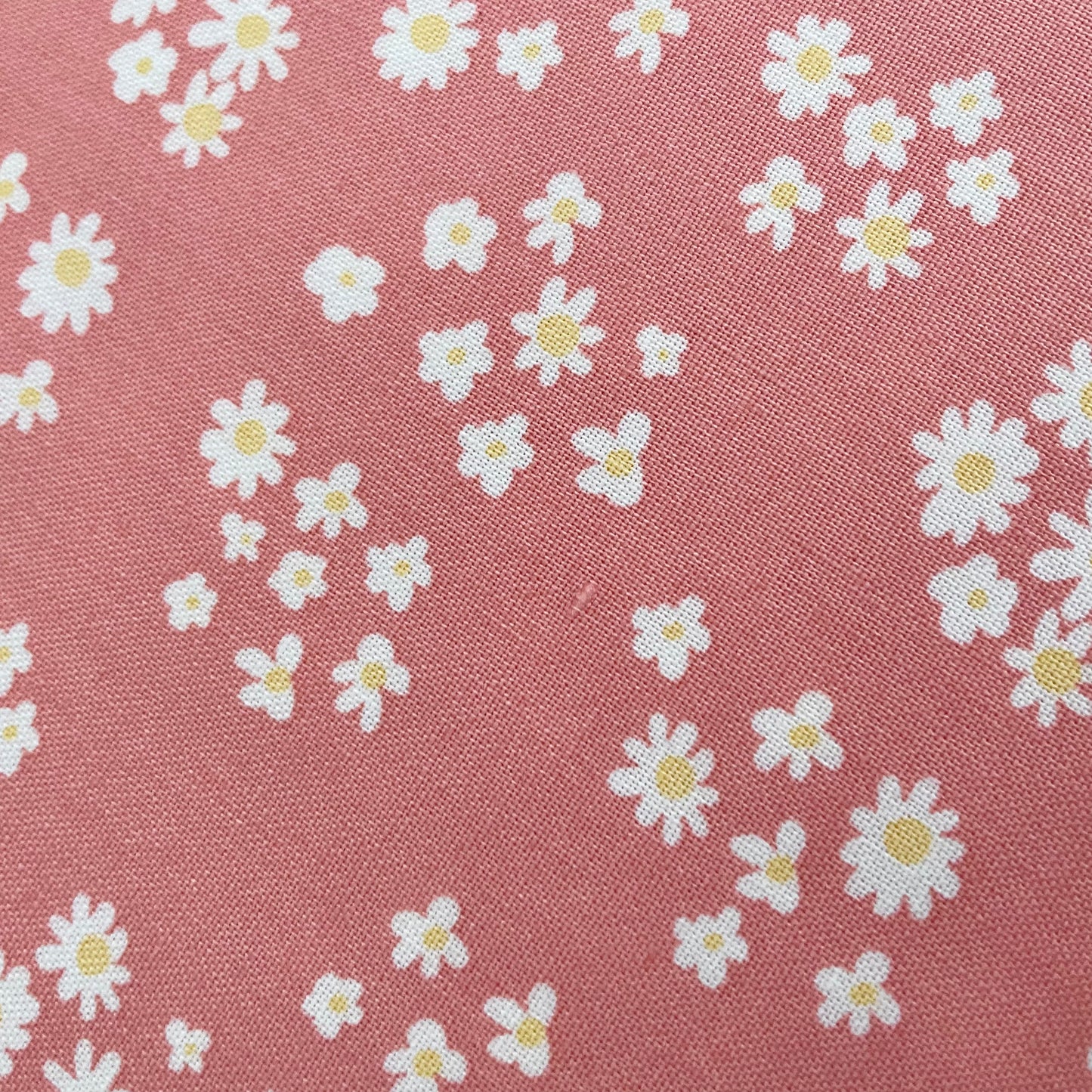Hello Spring Daisies in Coral - Riley Blake